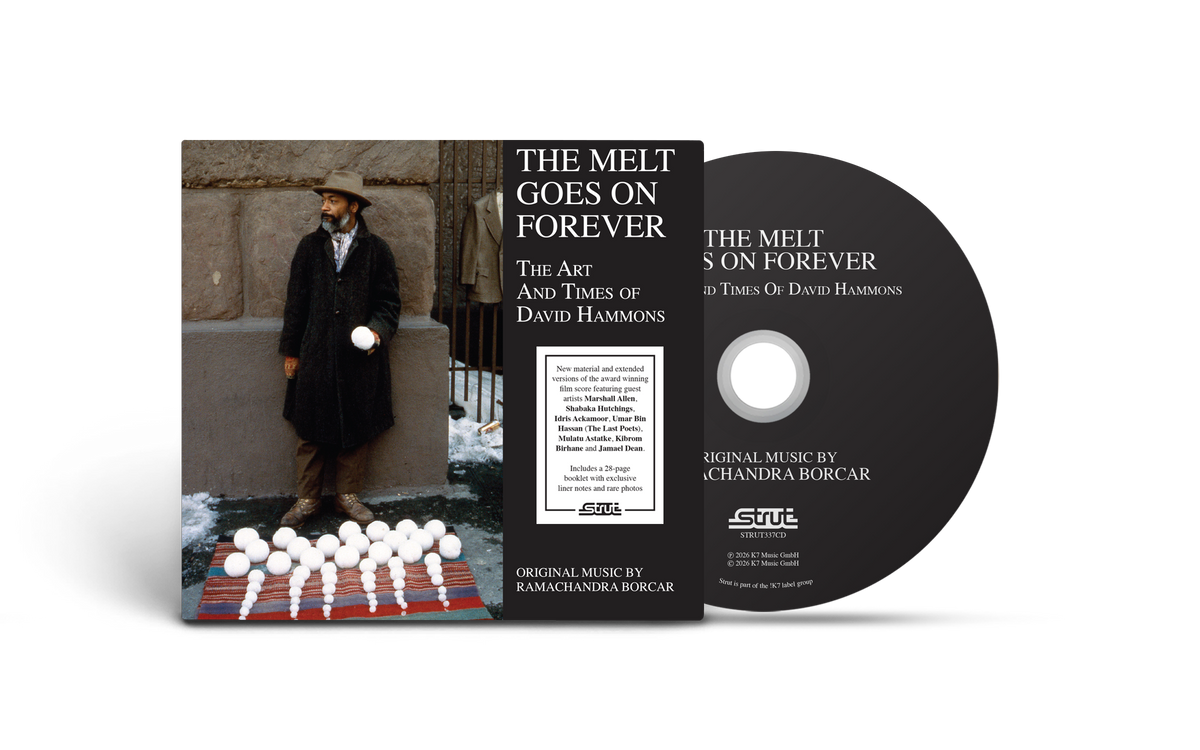 Ramachandra Borcar - The Melt Goes On Forever: The Art And Times of David Hammons